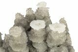 Cave Calcite Flower Stalactites - China #226187-1